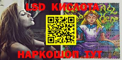 шишки Донской