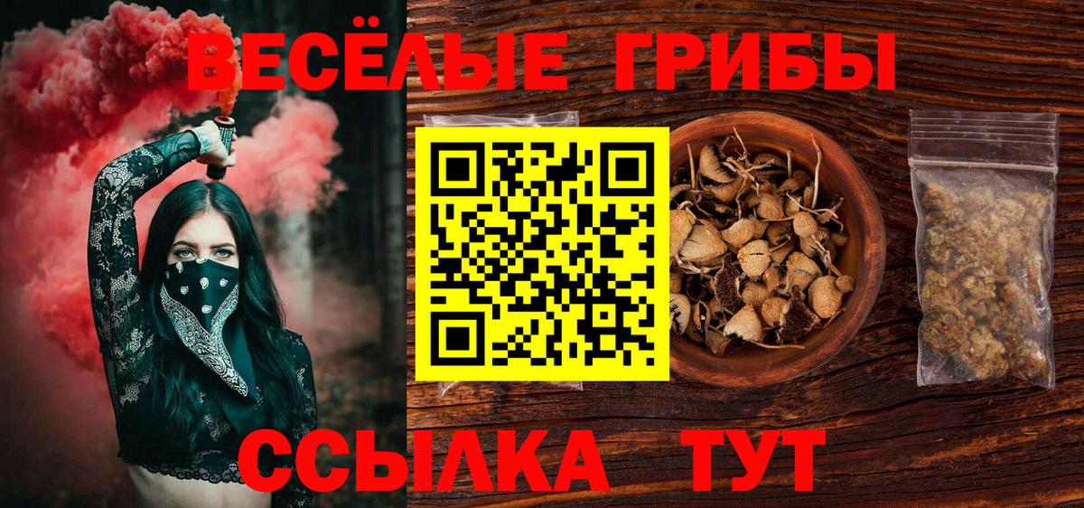 Псилоцибиновые грибы Рассказово