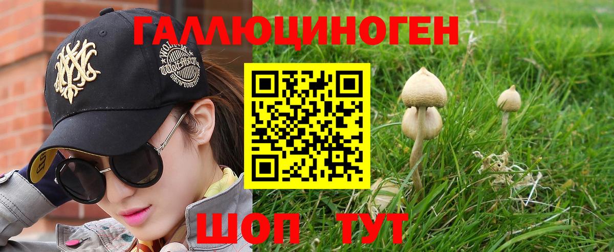 Псилоцибиновые грибы Psilocybe  Вход с VPN  Рассказово 